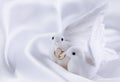 White doves