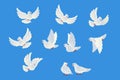 White doves. Beautiful pigeons faith and love symbol. Cartoon style. Isolated on blue background. Vector illustration. Royalty Free Stock Photo