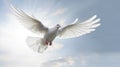 White doves and bright lights in the sky as a peace and spiritual symbol of Christian people. Holy spirit symbol