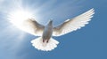 White doves and bright lights in the sky as a peace and spiritual symbol of Christian people. Holy spirit symbol