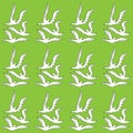 White doves Royalty Free Stock Photo