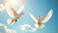 White doves soaring, sunlight gleaming on wings, sky background, gentle Royalty Free Stock Photo