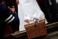 White Doves and a wedding couple