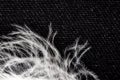 White down feather on black background, close up, macro Royalty Free Stock Photo