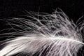 White down feather on black background, close up, macro Royalty Free Stock Photo