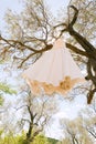 White dress of the bride on a hanger high on the branches of a tree in the daytime against the blue sky.