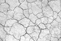 White dried and cracked earth background texture, Close-up of dry fissure ground, fracture surface Royalty Free Stock Photo