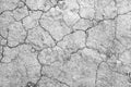 White dried and cracked earth background texture, Close-up of dry fissure ground, fracture surface Royalty Free Stock Photo