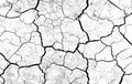 White dried and cracked ground earth background. Closeup of dry fissure ground. Gray crack on earth texture. erosion