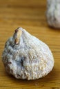 Dried fig close-up on a wooden board Royalty Free Stock Photo