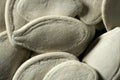 White dried pumpkin seeds in macro studio shot