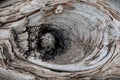 White driftwood macro shoot Royalty Free Stock Photo