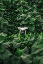 White drone is flying through a dense green forest Royalty Free Stock Photo