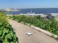 White drone is sitting on the ground in front of a city Royalty Free Stock Photo