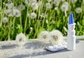 White dropper bottle mock up, blister with medical pills , dandelions on gray background with shadows. Concept of allergy