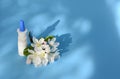 White dropper bottle and spring flowers on blue background with shadows with copy space. Concept of allergy treatment, medicines Royalty Free Stock Photo