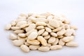White dry beans close-up