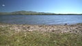 White Dry Moss Leaves and Green Herbs on the Calm Lake Shore