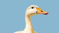 Playful White Duck Clip Art With Hyper-realistic Portraiture Style