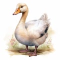 Hyper-realistic Goose Illustration With Detailed Shading And Duckcore Style