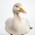 White Duck With Black Beak: A Stunning Portrait In Elke Vogelsang Style