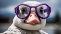 Humorous Gray Goose With Purple Glasses: A Creative Commons Attribution Artwork