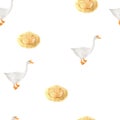 White ducks and nest. Watercolor painting seamless pattern