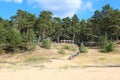 White Dune on the Baltic sea, Saulkrasti - Latvia