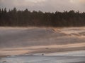 White dunes on the beach of Baltic Sea during very windy weather.