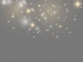 White dust sparks and star, light effect. Royalty Free Stock Photo