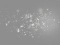 White dust sparks and star, light effect. Royalty Free Stock Photo
