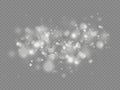 Sparkling magic dust particles bokeh light effect. Royalty Free Stock Photo