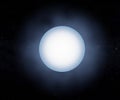 white dwarf is what stars like the Sun become