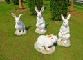 White Easter Bunny Gangs on The Ground