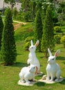 White Easter Bunny Gangs on The Ground Royalty Free Stock Photo