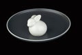 White easter bunny on a gray plate Royalty Free Stock Photo