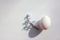 White easter egg with purple hyacinth flower. Hard light, shadow. Spring holiday flat lay composition Royalty Free Stock Photo