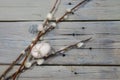 White Easter egg with some willow branches with catkins on gray rustic wooden planks, copy space, high angel view from above Royalty Free Stock Photo