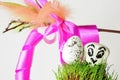 White easter egg and stone with bird face on grassy surface with traditional korbash whip in background Royalty Free Stock Photo