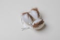White easter eggs are decorated with a feather. Eggs are on a white table Royalty Free Stock Photo