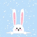 White easter rabbit. Funny bunny in flat style. Easter Bunny. On blue winter background, falling snowflakes. Vector Royalty Free Stock Photo