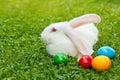White easter rabbit in green grass Royalty Free Stock Photo