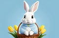 white easter rabbit wearing a blue sweater holding a basket with eggs, yellow tulips in the background, easter banner or Royalty Free Stock Photo