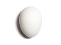 White egg Royalty Free Stock Photo