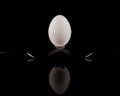 White Egg Balanced on Two Forks on a reflective surface on black background. perfect reflection Royalty Free Stock Photo