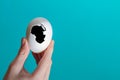 A white egg with a black void inside. A black hole in a chicken egg on a blue background