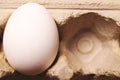 White egg in carton box