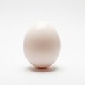 White egg is centered on a plain white background, providing a Royalty Free Stock Photo