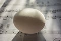 White egg close-up on black notes. Creative concept, black and white design Royalty Free Stock Photo