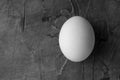 White, egg on a dark, textural background Royalty Free Stock Photo